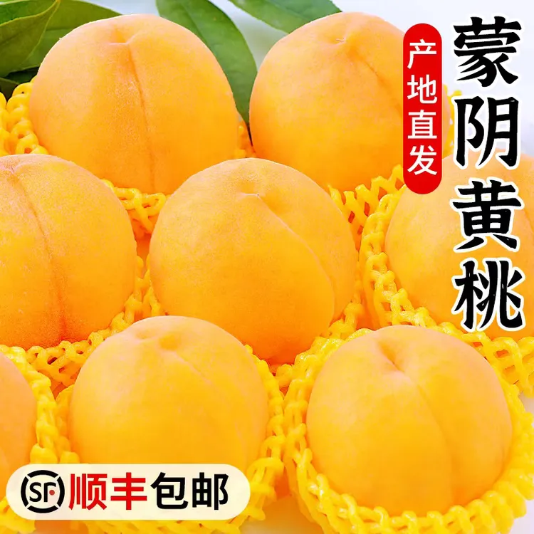 【顺丰包邮】正宗蒙阴甜黄桃当季新鲜水果桃子时令水果脆甜整箱包邮
