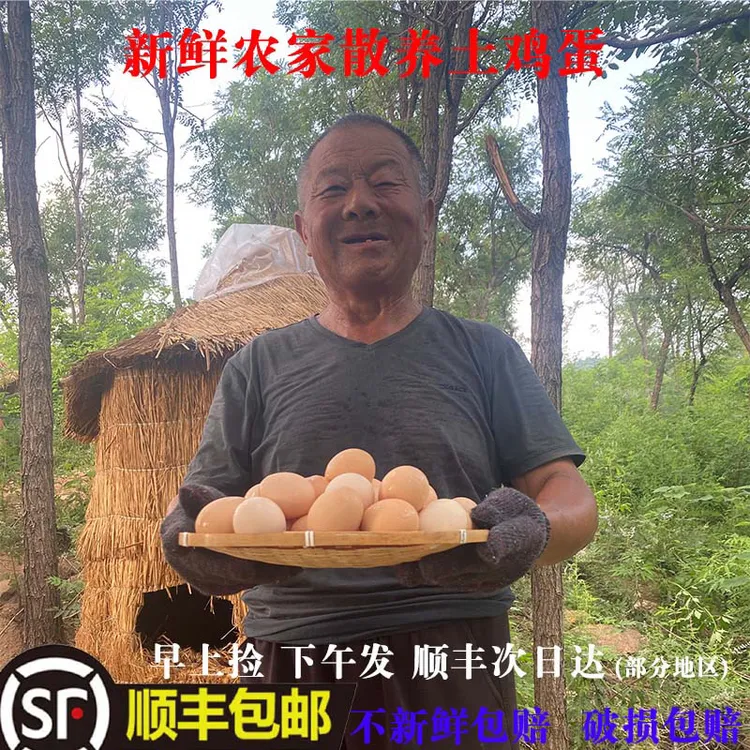 40枚土鸡蛋 粉壳 农家散养现捡现发 破损包赔