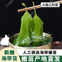 新鲜盐渍海带苗鲜嫩海带苗小海带营养爽脆鲜香火锅菜凉拌菜好食材