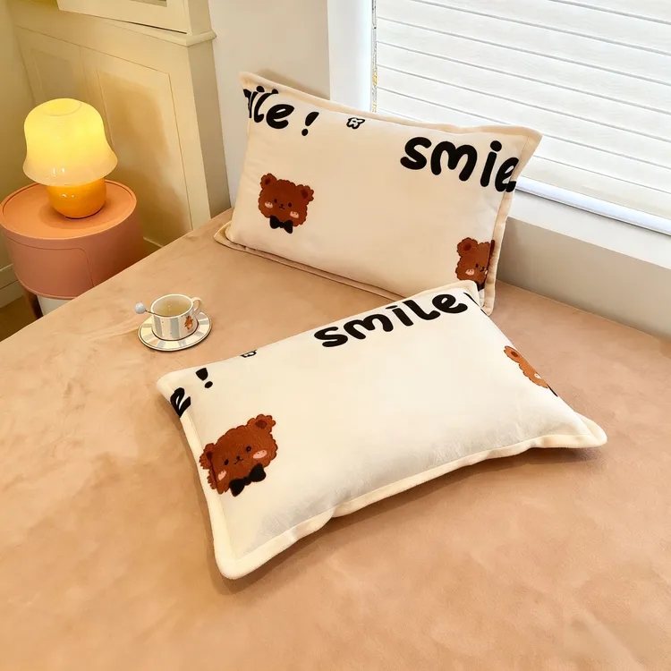 枕头套可拆洗双面牛奶绒不掉色舒适枕套冬季一对宿舍单人枕