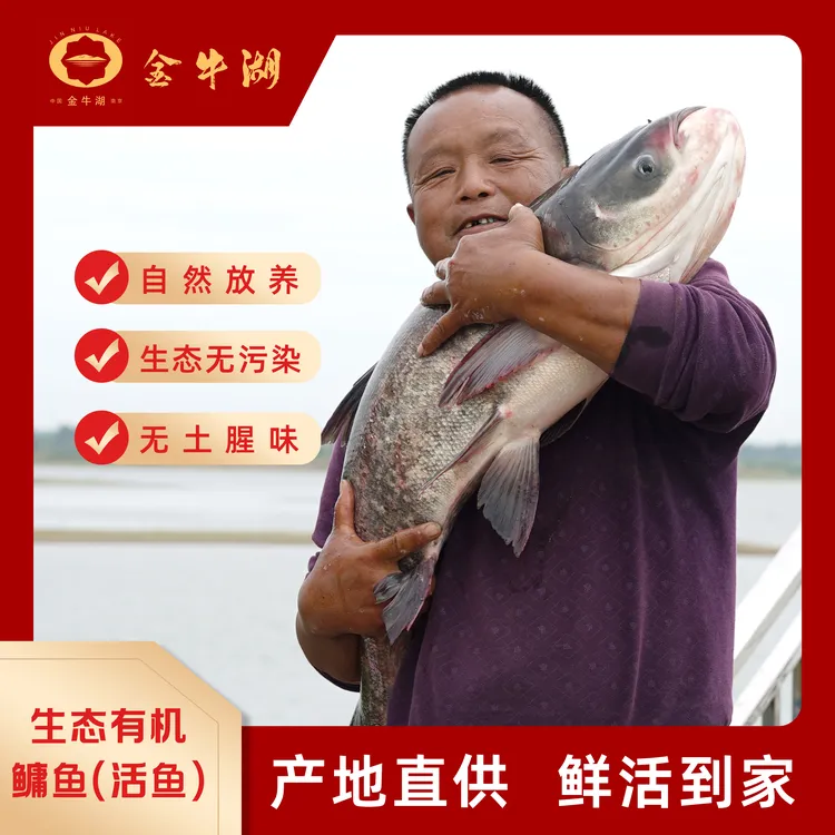 金牛湖冬捕新鲜淡水鱼鲢鳙特产礼盒适合年夜饭送礼新鲜味美好吃