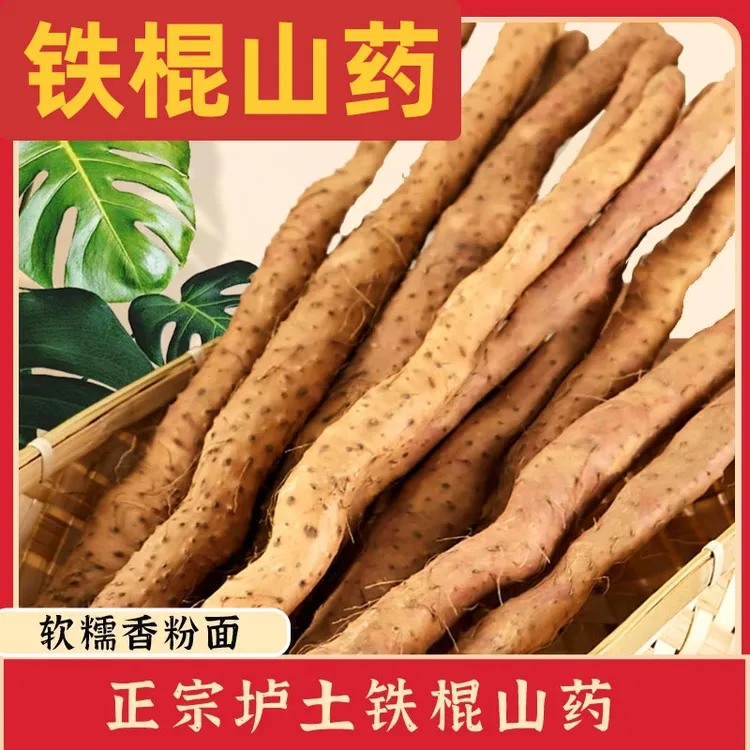 正宗铁棍山药温县铁棍山药垆土怀山药河南焦作铁棍山药新鲜怀山药