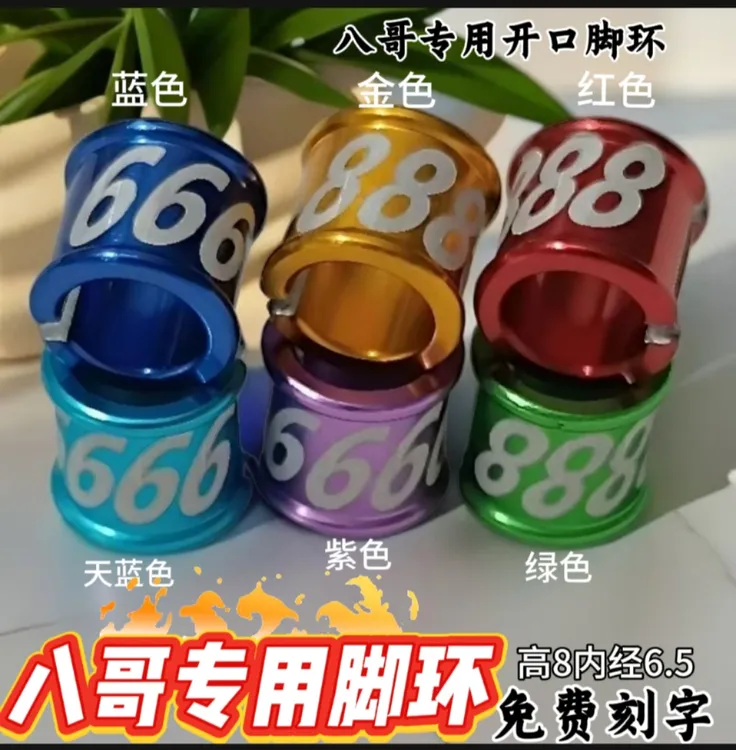 八哥鹩哥专用开口脚环免费刻字定制款