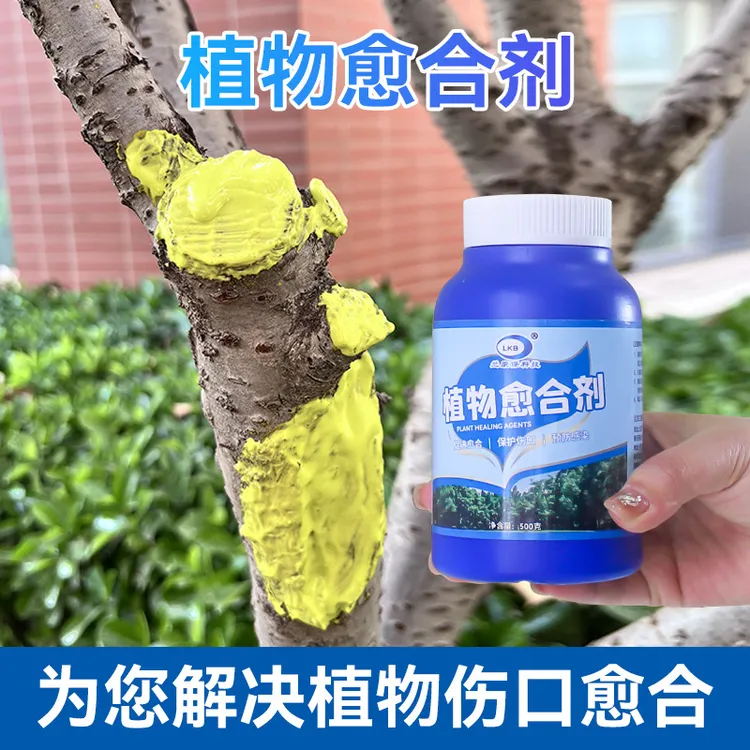 树木植物伤口愈合剂正品涂抹剂愈伤修剪果树苗木嫁接切口伤愈膏