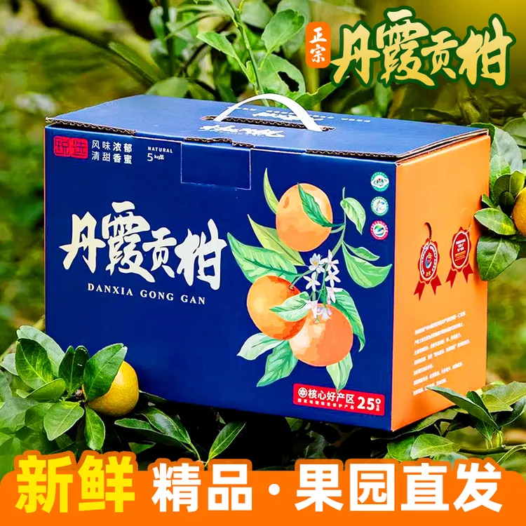 丹霞贡柑皇帝柑甜橘子新鲜现摘柑橘应季水果礼盒韶关
