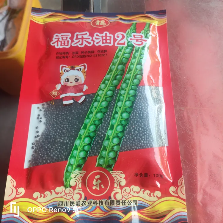 福乐油2号一袋100克矮秆实心油菜种抗冻抗倒