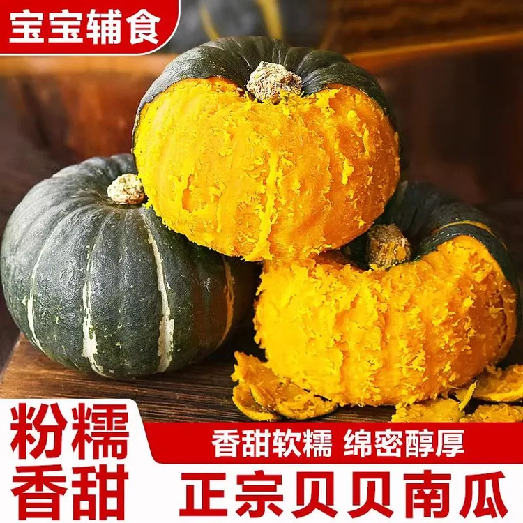 正宗内蒙古贝贝南瓜粉糯香甜板栗味宝宝辅食粗粮
