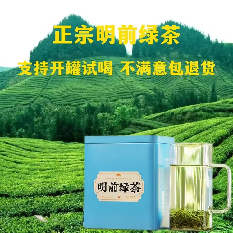 2025年新茶明前绿茶日照充足云雾绿茶浓香耐泡高山绿茶口粮茶叶