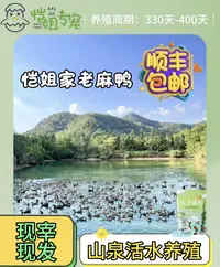 恺姐家老麻鸭老母鸭日龄330天顺丰冷链包邮4斤左右