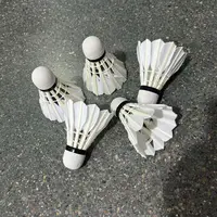 698 室外耐打防风羽毛球