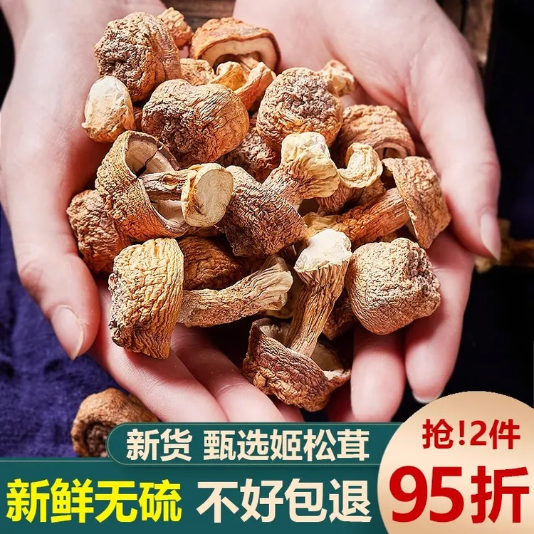 新货姬松茸干货云南特产精选非特级无硫松茸菌巴西菇蘑菇菌菇300g