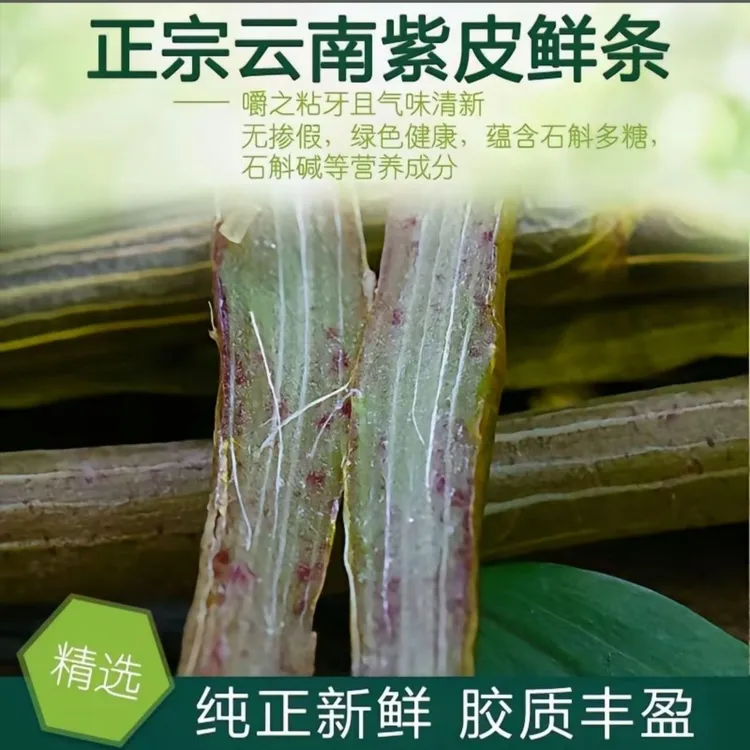 云南高海拔野生紫皮石斛鲜条榨汁煲汤好滋补