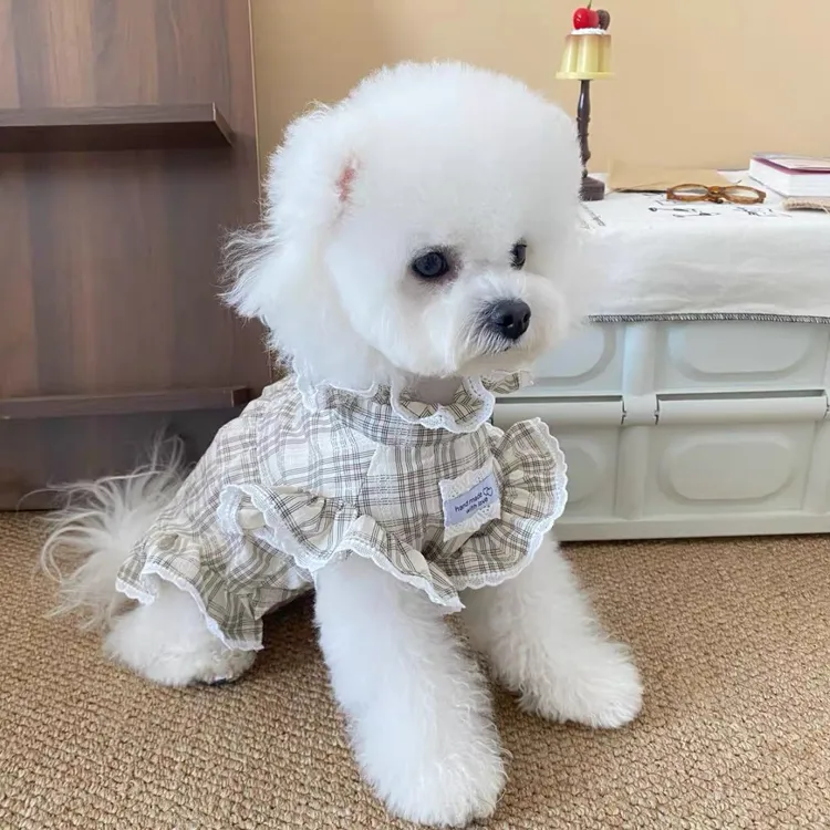 宠物猫狗情侣装休闲西装裙子衬衫衣服适合小型犬猫