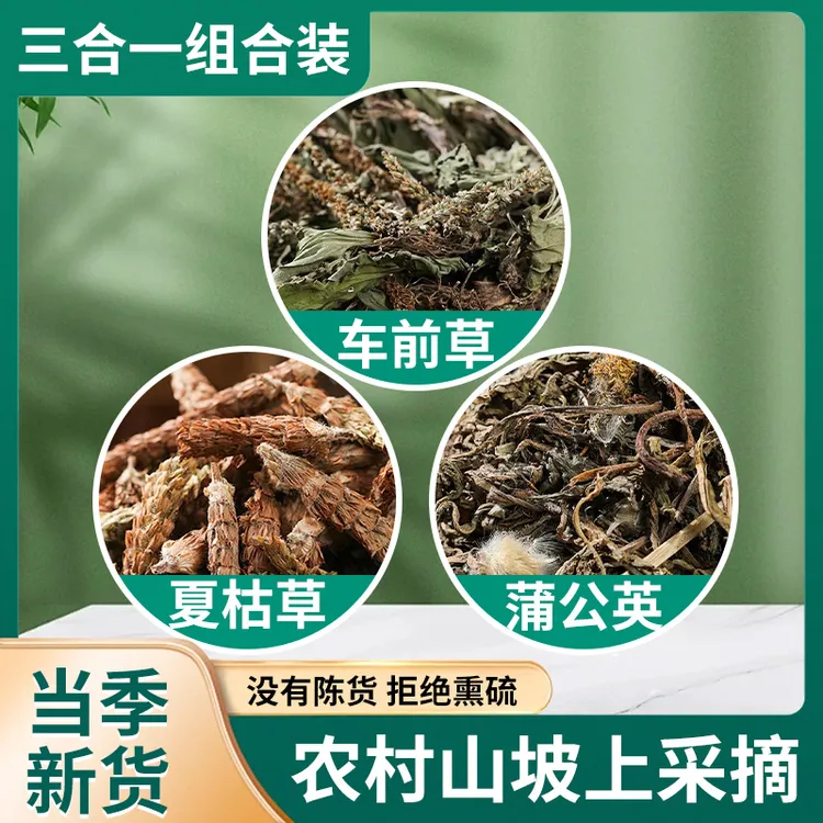 【山采组合装】夏枯草蒲公英车前草  自然晾晒人工采摘