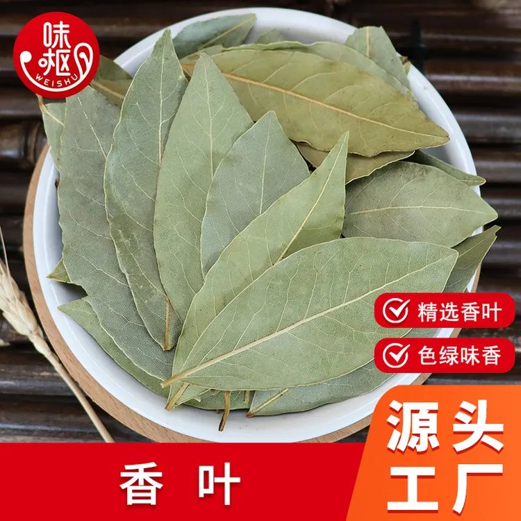 广西香叶柿子叶月桂叶无硫自然晒干家用厨房火锅炖肉增香香料调料