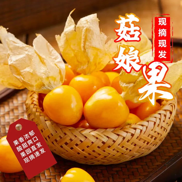黑龙江头茬姑娘果大果灯笼果新鲜香甜水果t