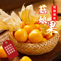 黑龙江头茬姑娘果大果灯笼果新鲜香甜水果t