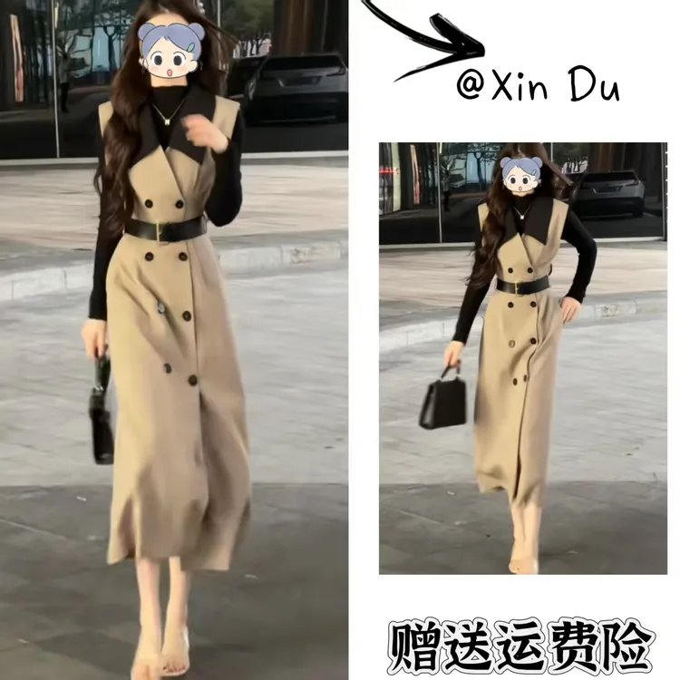 2025秋季新款时尚显瘦气质女士网红洋气两件套百搭款D23703