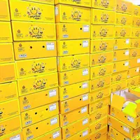 葡萄柚礼盒装 8枚果