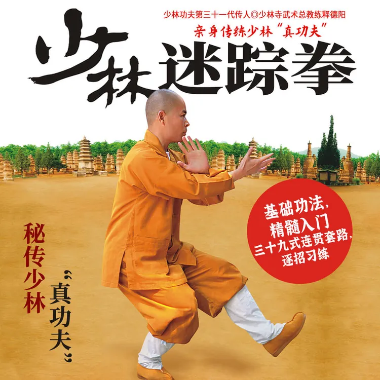 少林迷踪拳古老且具代表性的少林拳术独家真传功夫格斗