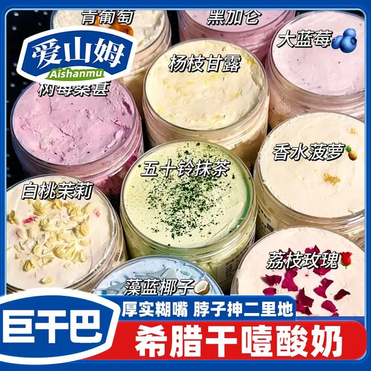 希腊冷萃酸奶干嚼干巴奶皮子干噎厚奶发酵菌盒子固体店