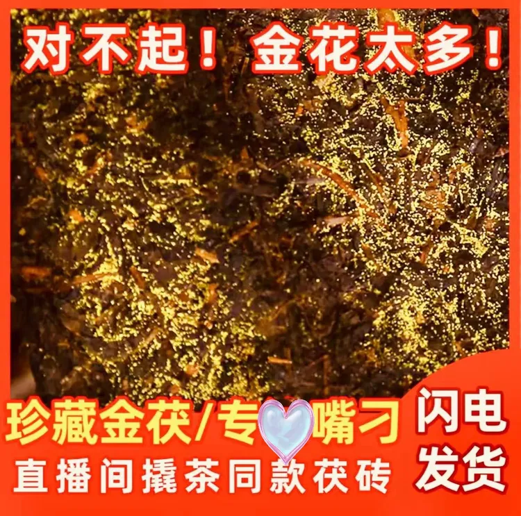(11年陈天尖金花茯茶)金花茯砖茶金花爆满黑茶安化黑茶