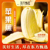 东方甄选自营官方苹果蕉香蕉新鲜水果坏果包赔顺丰3斤/4.5斤装