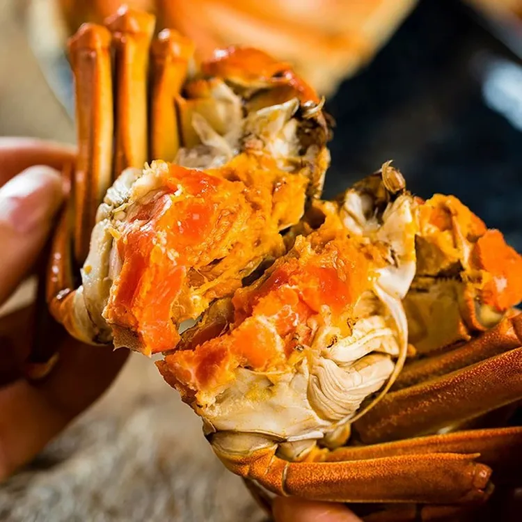 精挑活蟹现货大闸蟹母2.3-2.6两/只6只-10只螃蟹顺丰直发