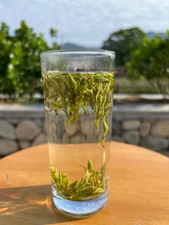 明前精品2025岳西翠兰批发价买到就是赚到自家预留库存不多宜送礼