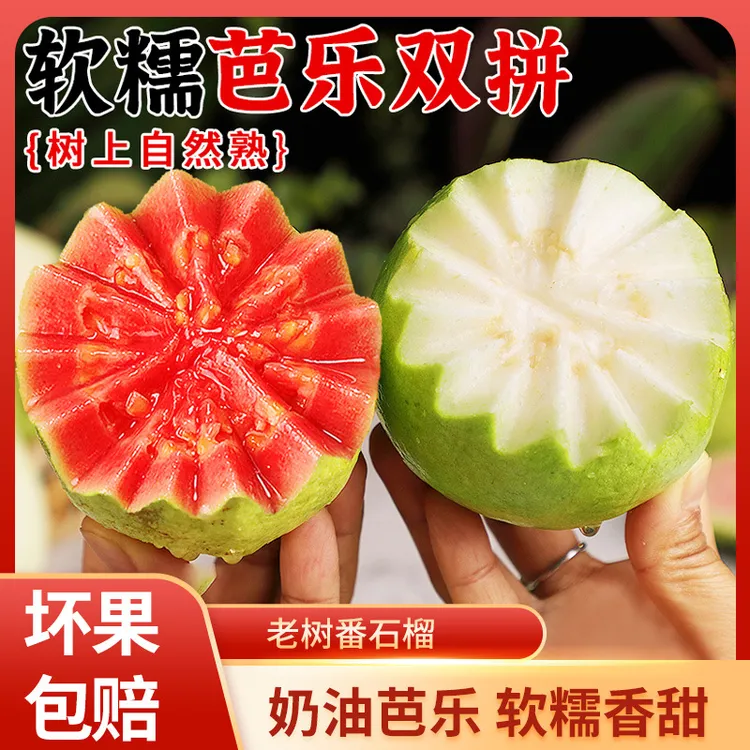 【全爸专属】广东奶油红心芭乐白心番石榴软糯新鲜水果脆甜软糯两吃