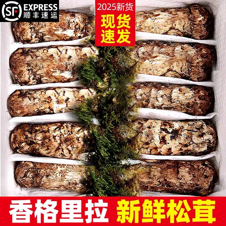 【顺丰空运】新鲜松茸云南香格里拉松茸未开伞特级松茸精品松茸礼盒