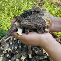 【现收羊肚菌】正品无添加炖汤