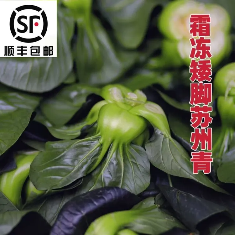 顺丰包邮苏北发货露天苏州青青菜脆嫩甜