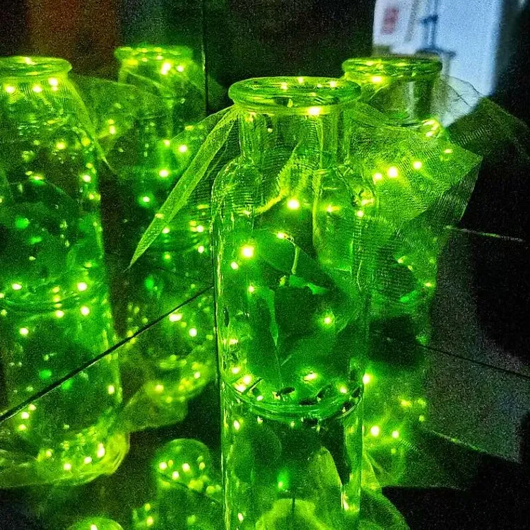 夜精灵观察灯情侣新款礼物萤火虫饲养盒观察套装