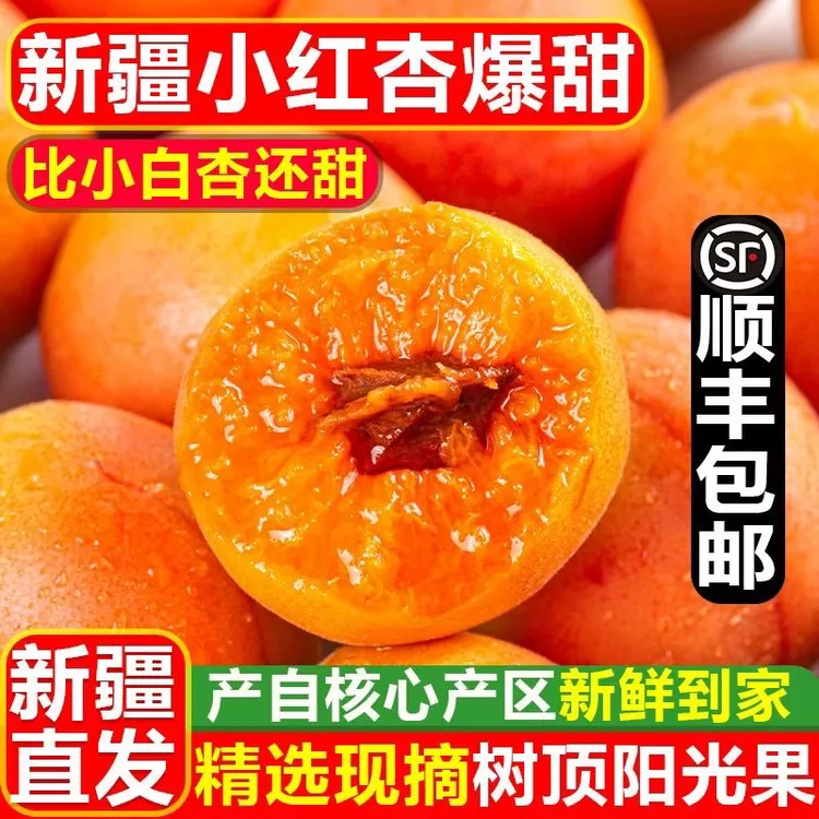 【顺丰空运】新疆小红杏正宗四团小红杏新鲜采摘新疆直发吊干杏杏子