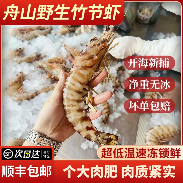 东海舟山野生海捕新鲜速冻大竹节虾斑节虾海虾九节虾基围虾海鲜