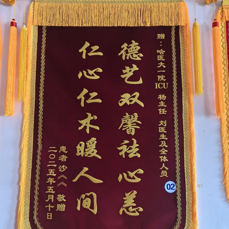 高档定制锦旗老师医生感谢奢华级加厚加长大龙须闪金字定做