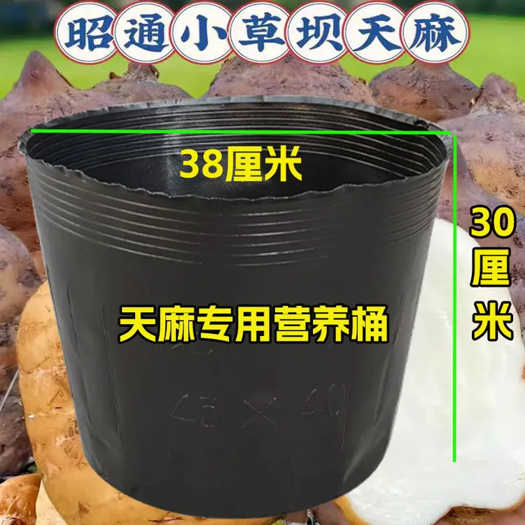 45x25天麻种植桶45x40营养钵营养杯45x30育苗杯45*35天麻桶一次性