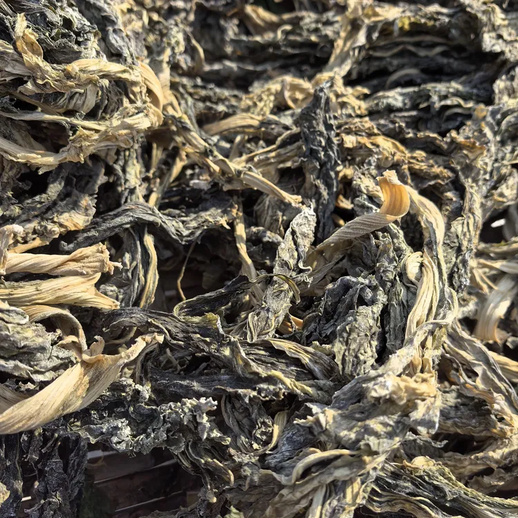 四川巴中高山农村干酸菜