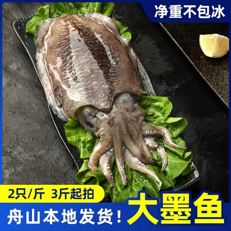 舟山东海鲜嫩干净冰鲜墨鱼2只一斤3斤起拍舟山本地发货新鲜大墨鱼
