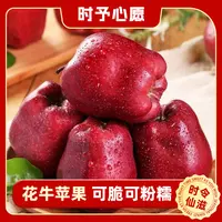 甘肃天水花牛苹果脆粉两吃新鲜采摘当季水果多仓发货