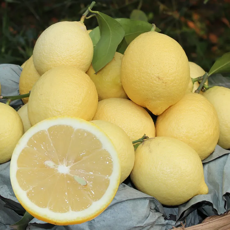安岳黄柠檬精选小果10个装新鲜汁多小果1斤约6-7个