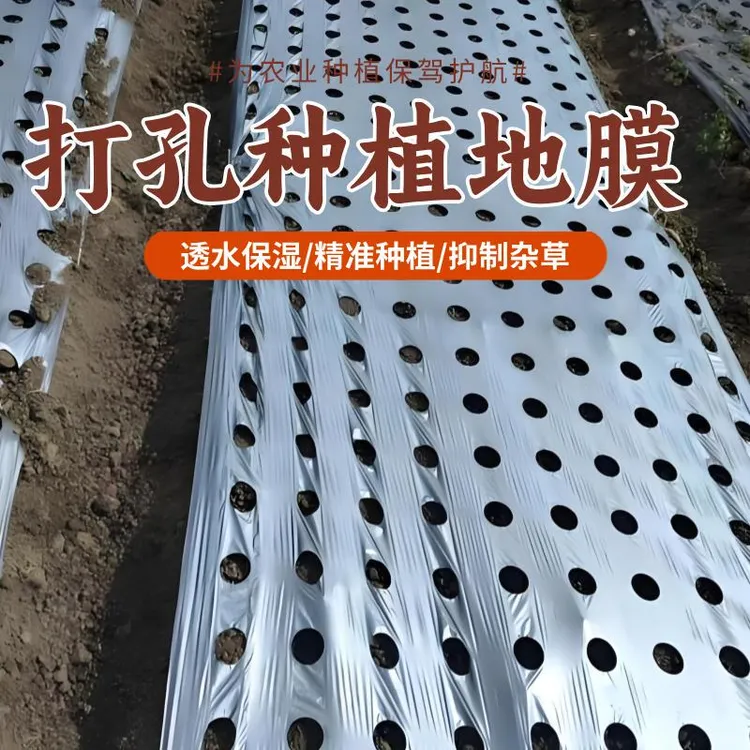 打孔银黑地膜农用种植除草保温1.2米宽大蒜四孔草莓蔬菜药材带孔