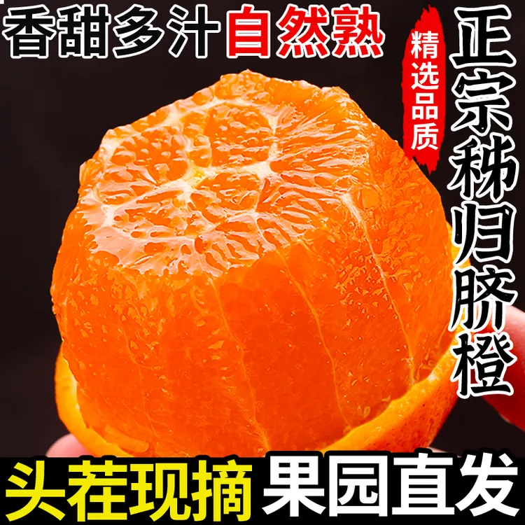 正宗秭归橙子脐橙新鲜现摘产地直发皮薄多汁香甜纽荷尔橙手剥