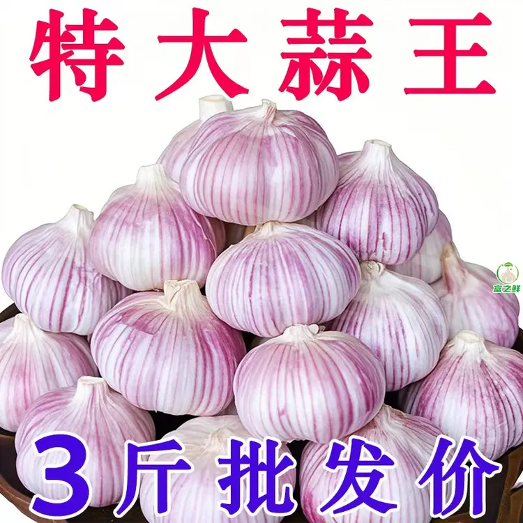 3斤批发价】大蒜干蒜多瓣蒜紫白皮蒜金乡大蒜批发价辛辣十足1-9斤