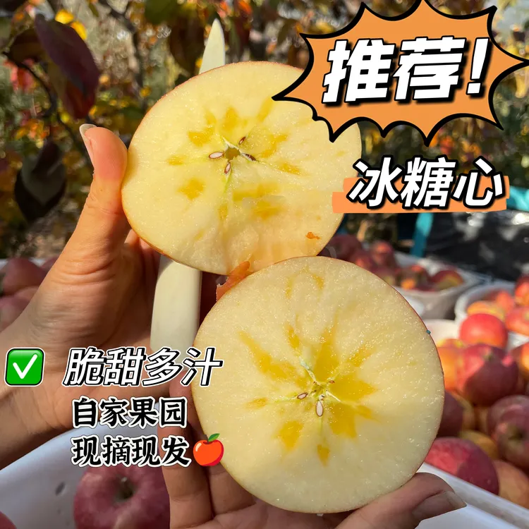 四川新鲜应季红富士脆甜多汁肉质细脆礼盒现摘糖心水果丑苹果汉源