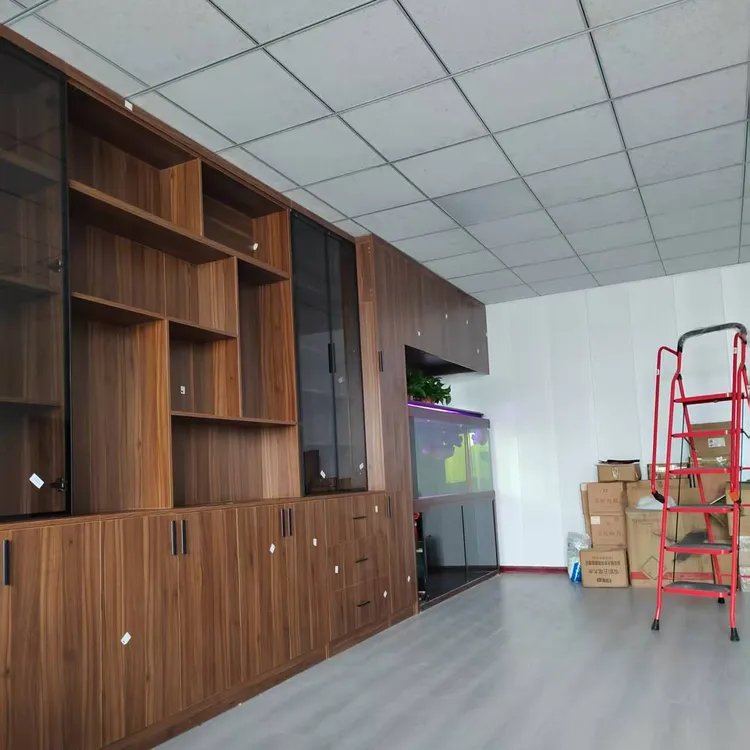 办公室轻奢资料档案柜带锁可作背景展示的储物柜