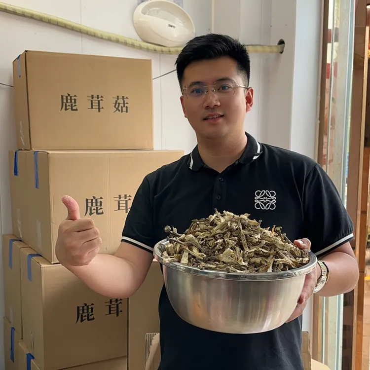 【头茬鹿茸菇】干货天然无熏硫口感脆香味浓煲汤爆炒好食材