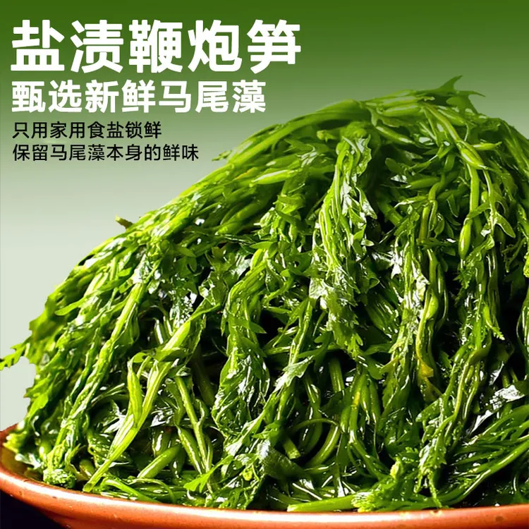 鞭炮笋马尾藻新鲜盐渍干净无沙霞浦产地直发羊栖菜火锅凉拌海草藻