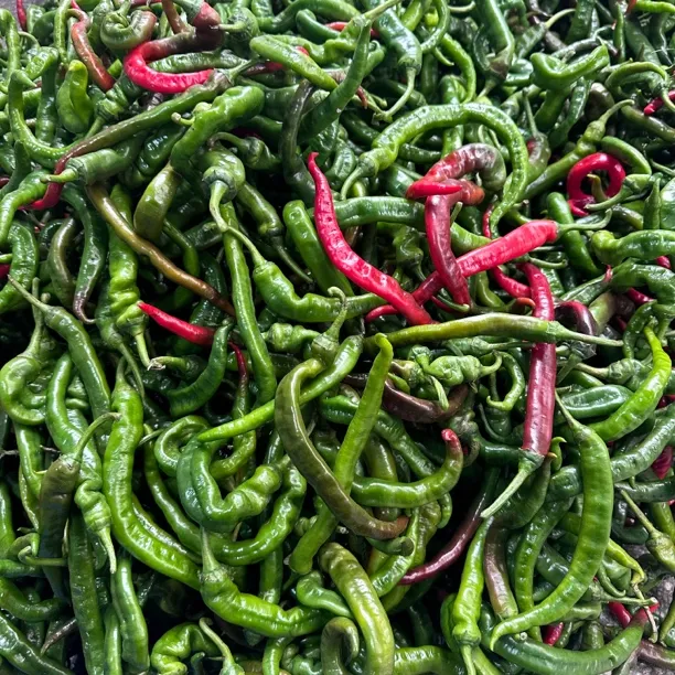 湖南邵阳隆回本地辣椒农家辣椒中辣当季新鲜蔬菜薄皮辣椒青辣椒